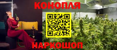 стаф Добрянка