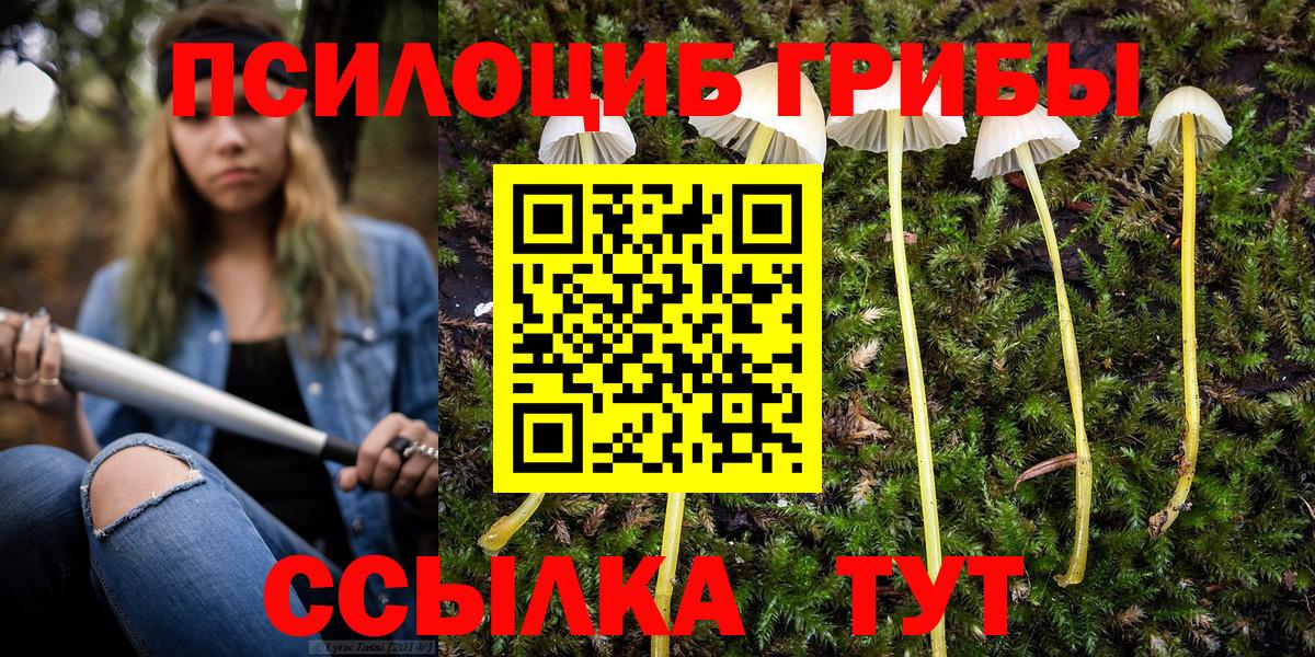 Петропавловск-Камчатский  Галлюциногенные грибы Psilocybine cubensis  Вход с VPN 
